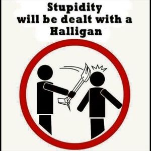 Meet your Posher, Jake